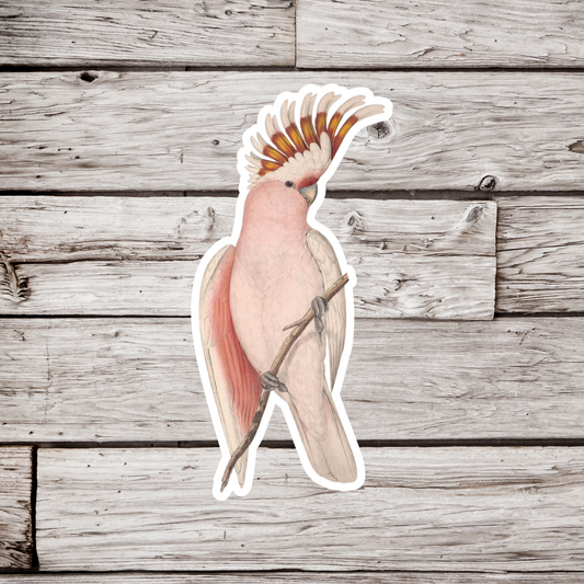 Cockatoo Sticker