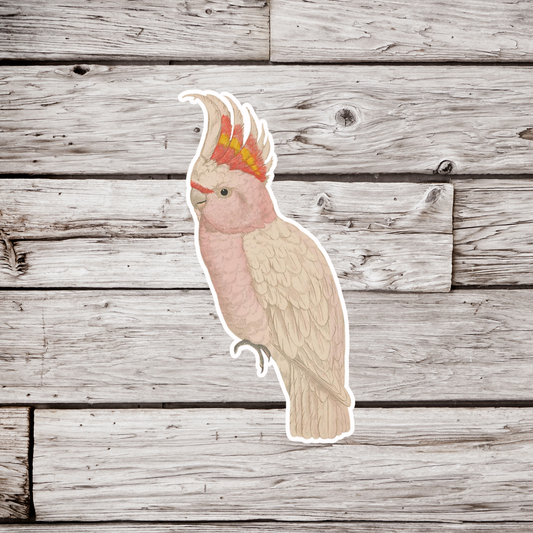 Cockatoo Sticker