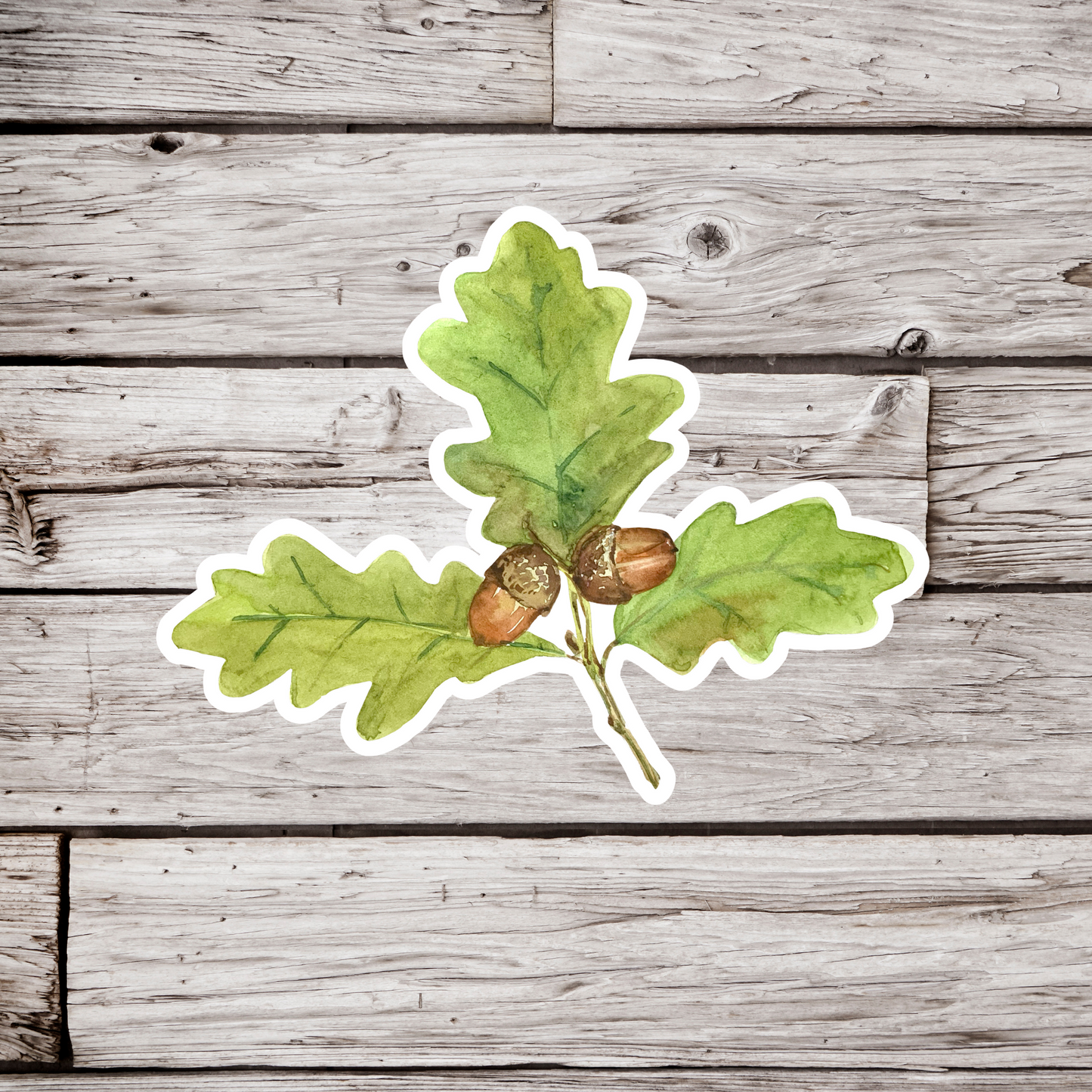 Oak Leaf Sticker