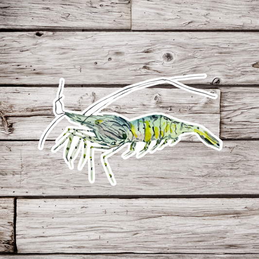 Prawn Sticker