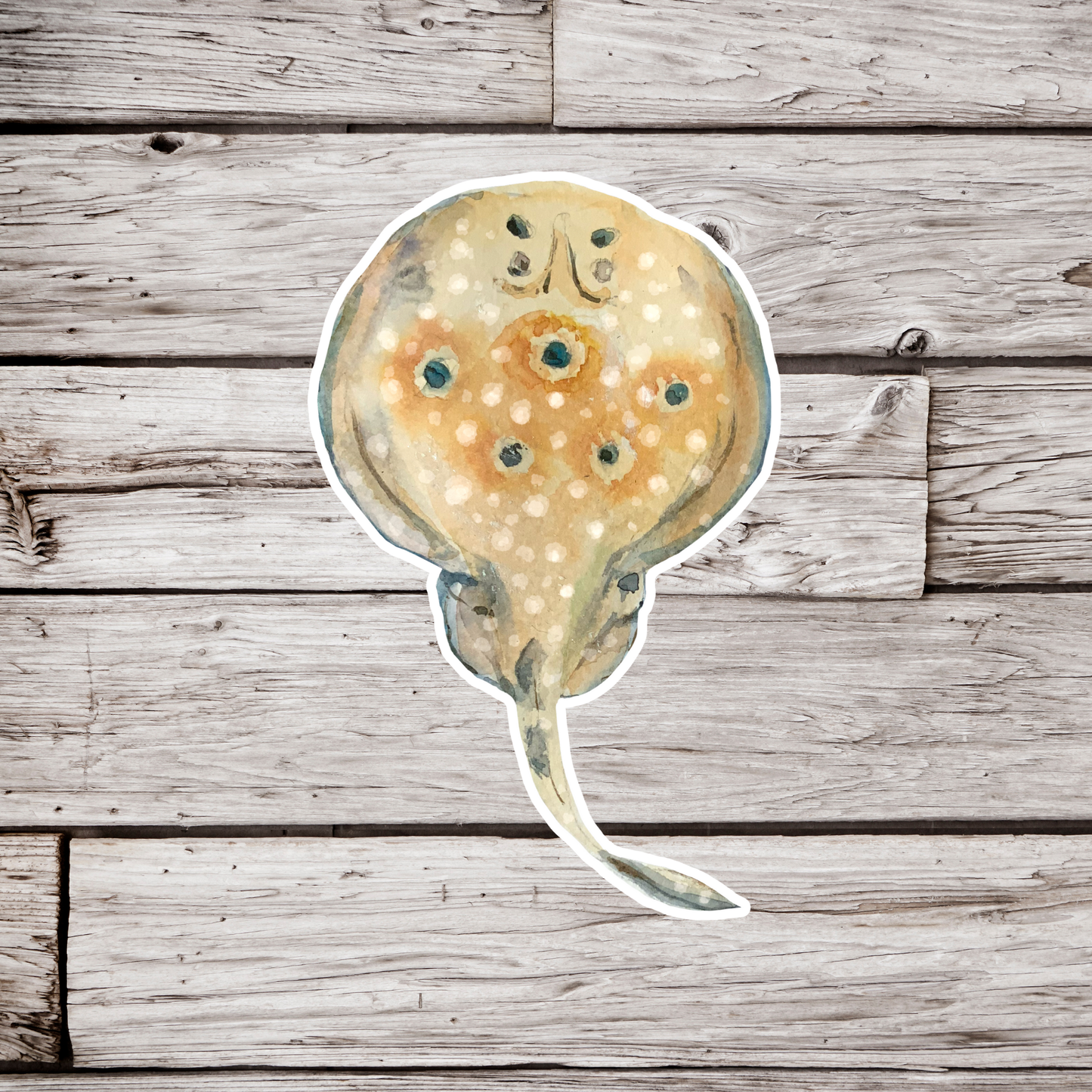 Common Torpedo Sticker