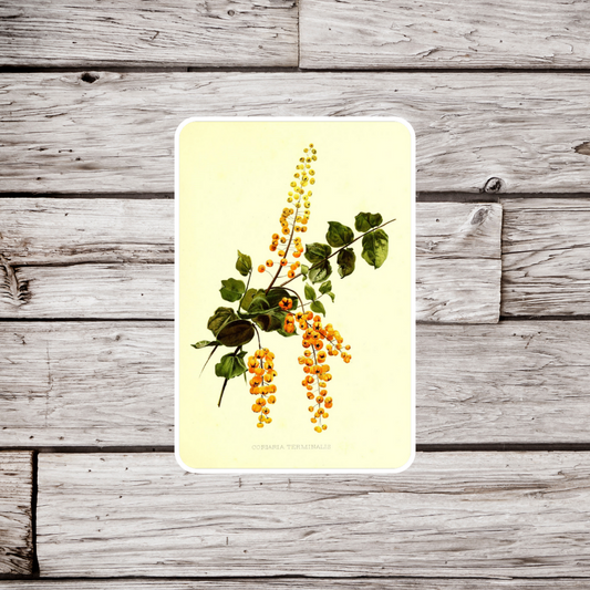 Divi-Diviis Flower Sticker