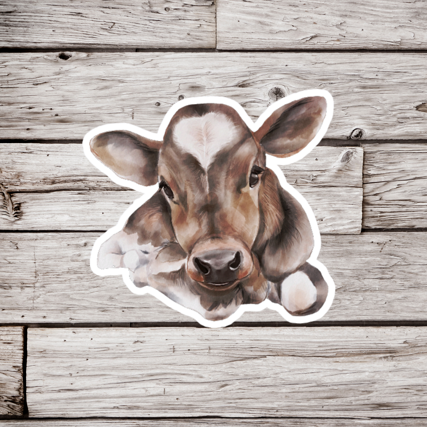 Cow Sticker