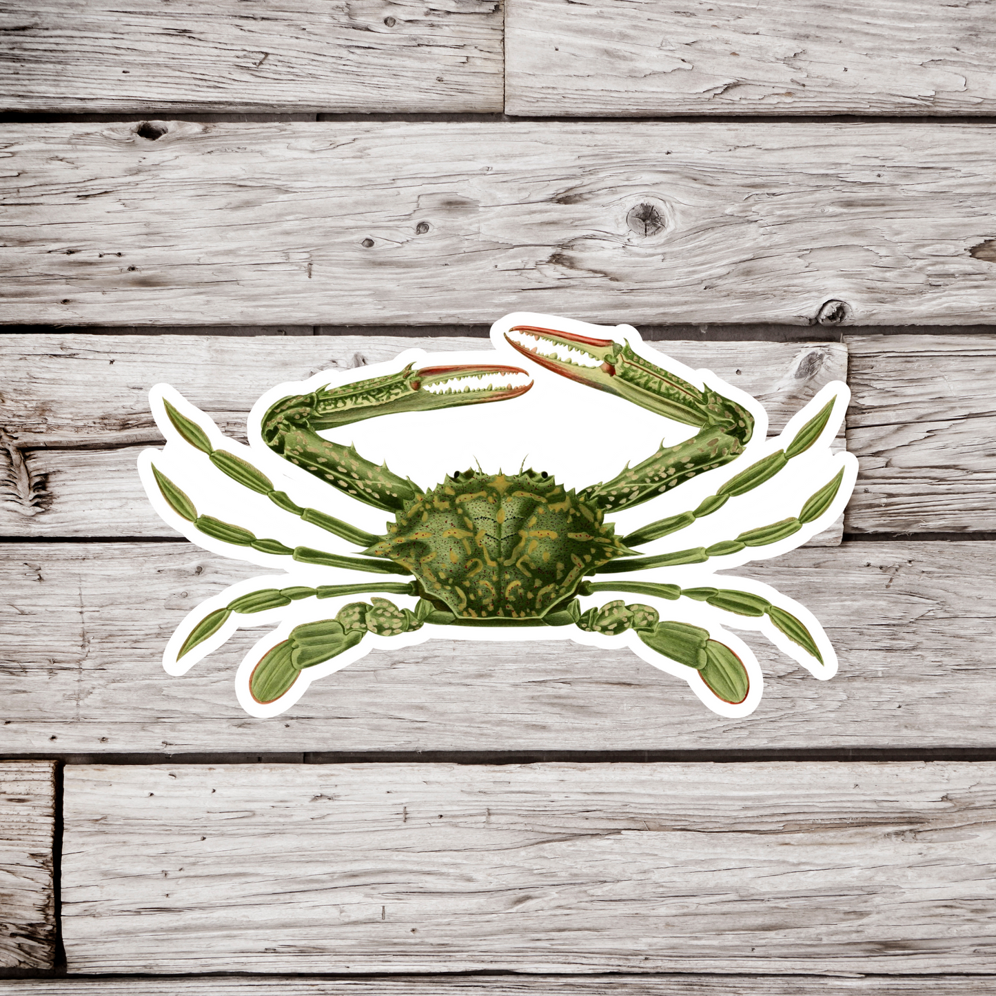 Crab Sticker