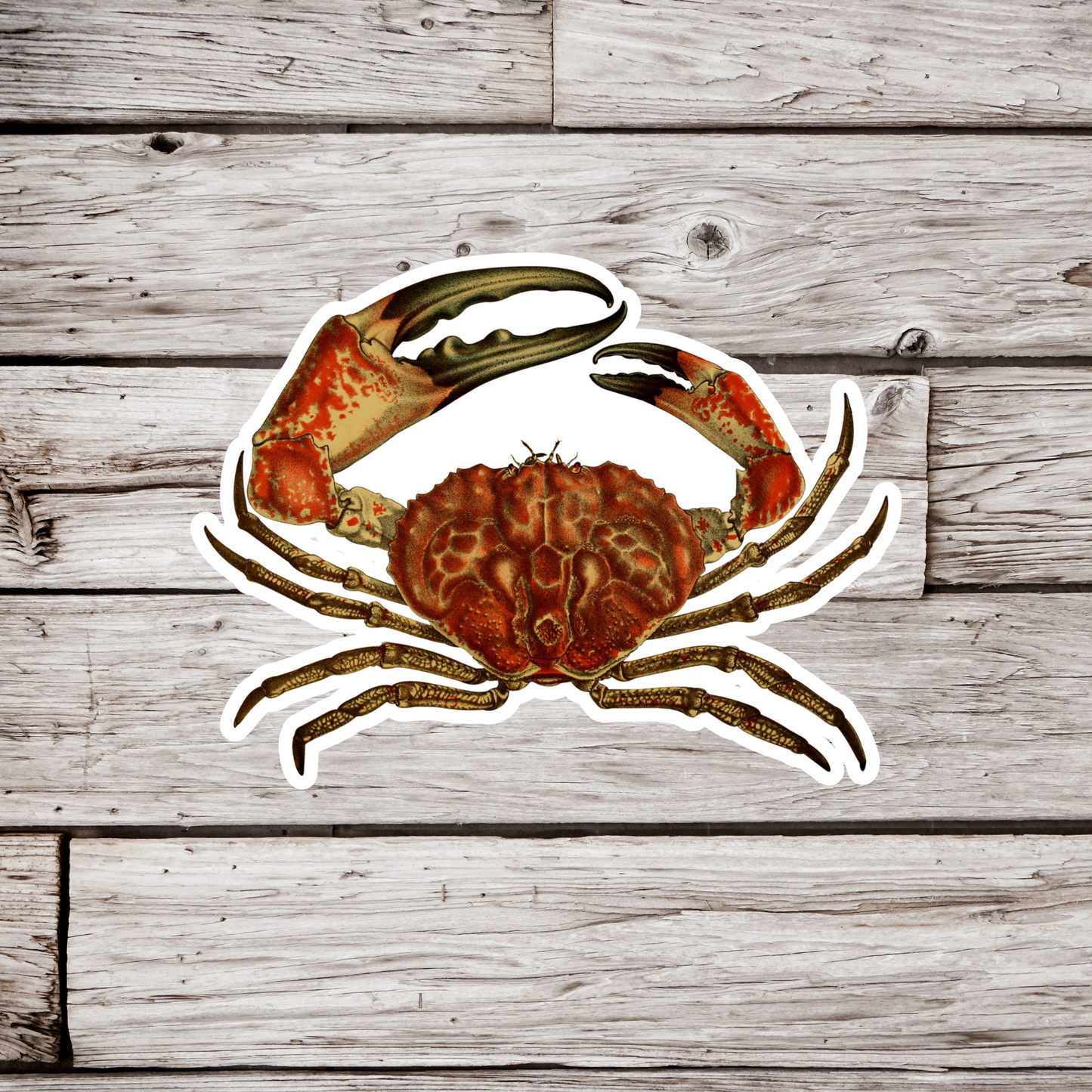 Crab Sticker