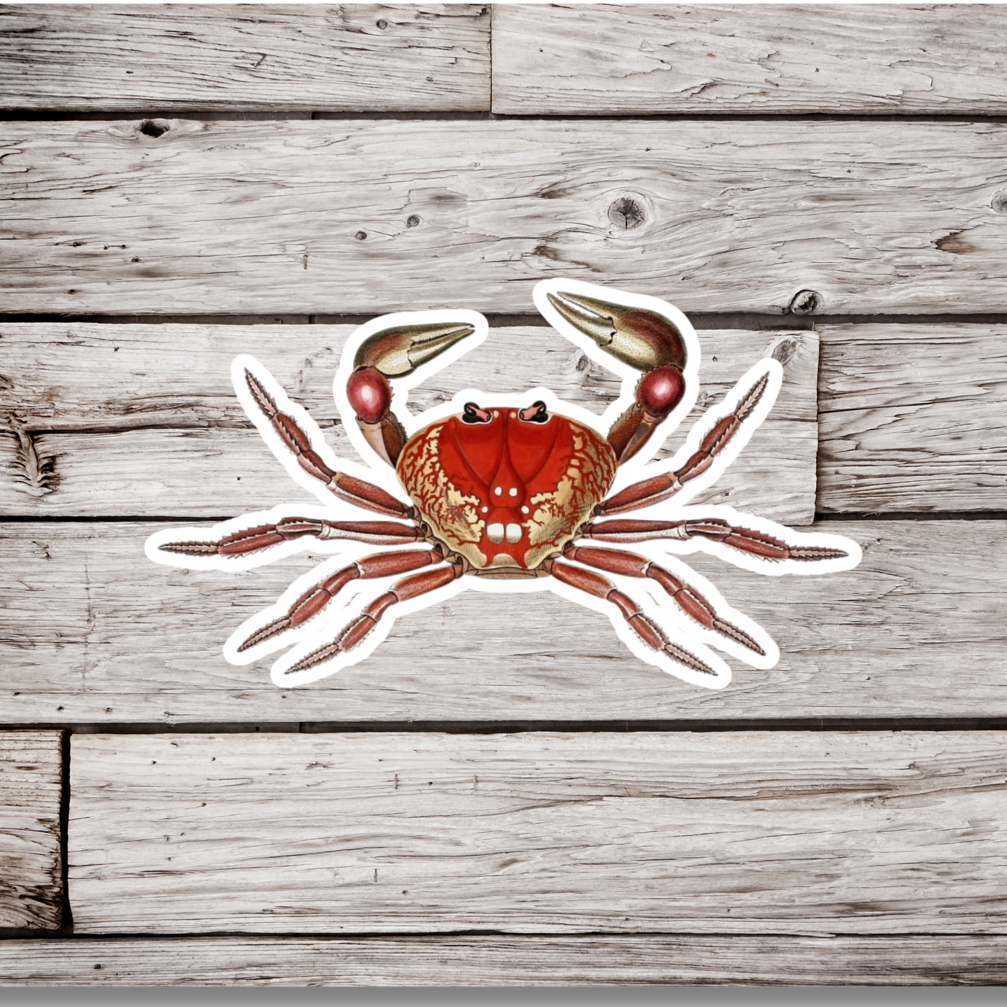 Crab Sticker