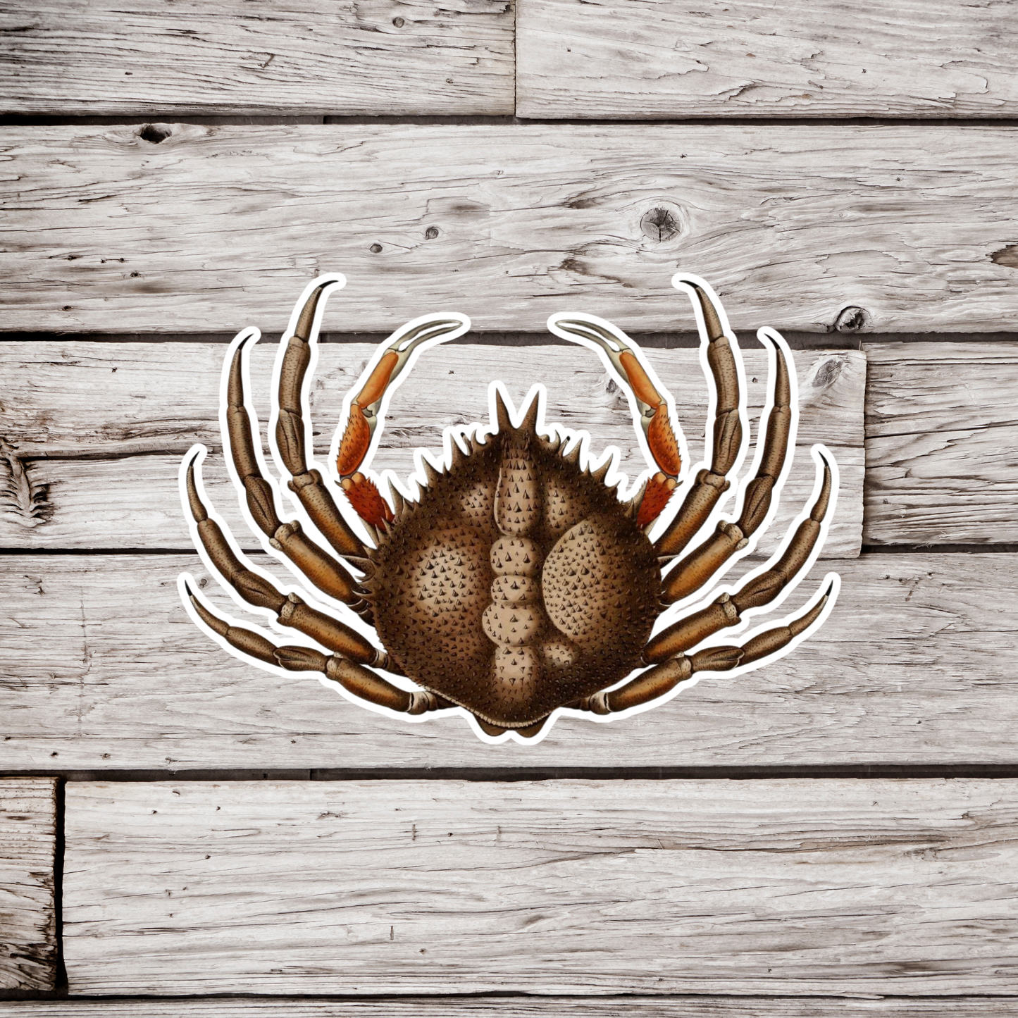Crab Sticker