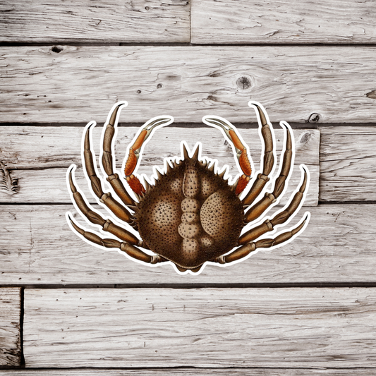 Crab Sticker