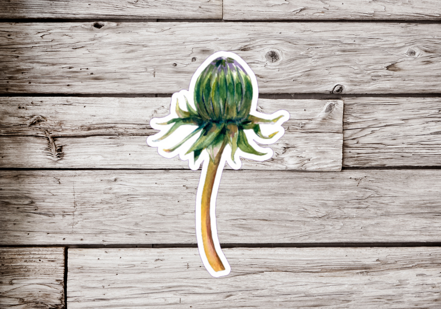 Dandelion Sticker