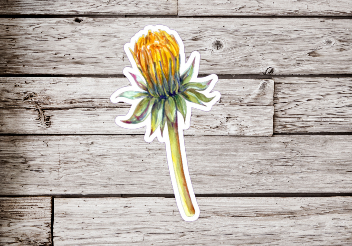 Dandelion Sticker