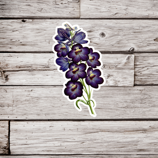 Delphinium Sticker