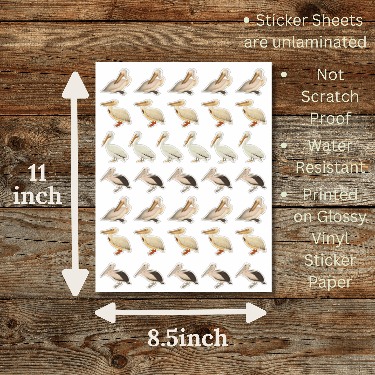 Pelican Sticker Sheet