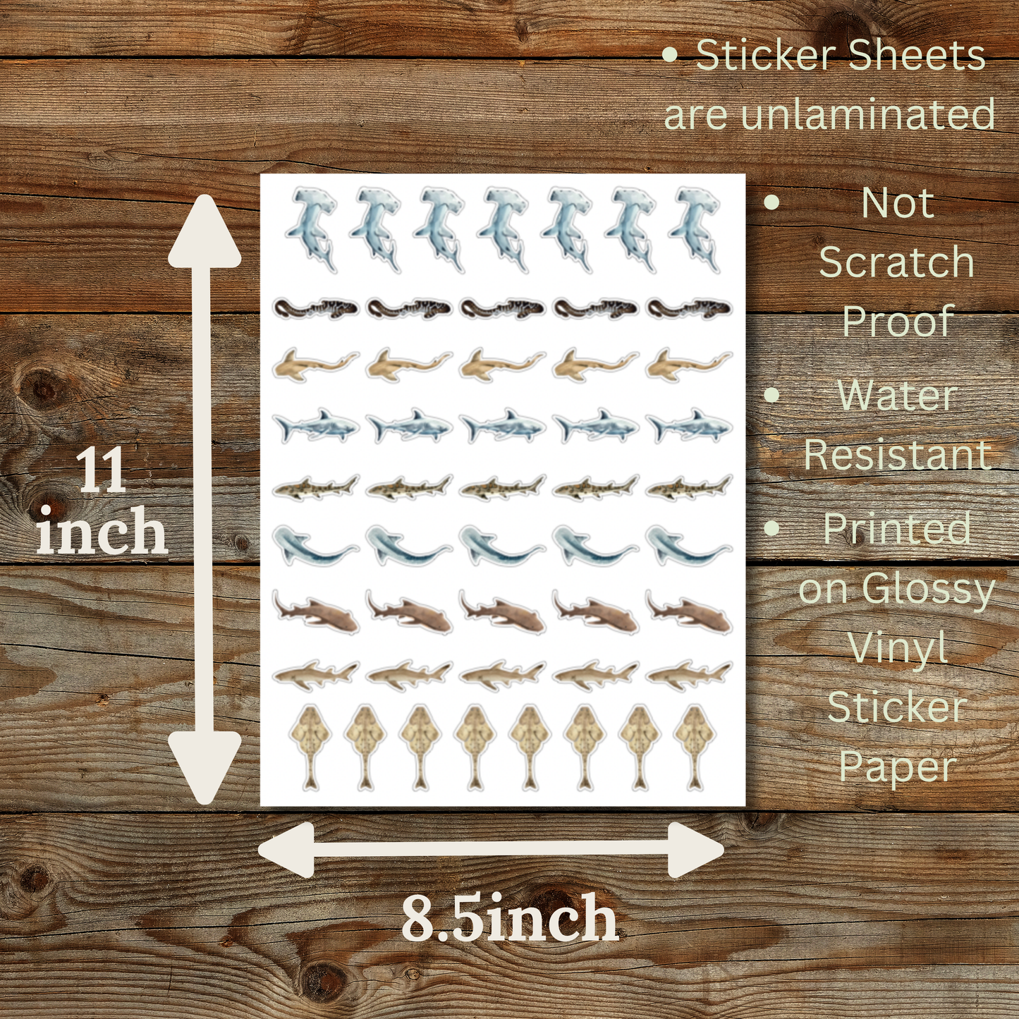 Shark Sticker Sheet