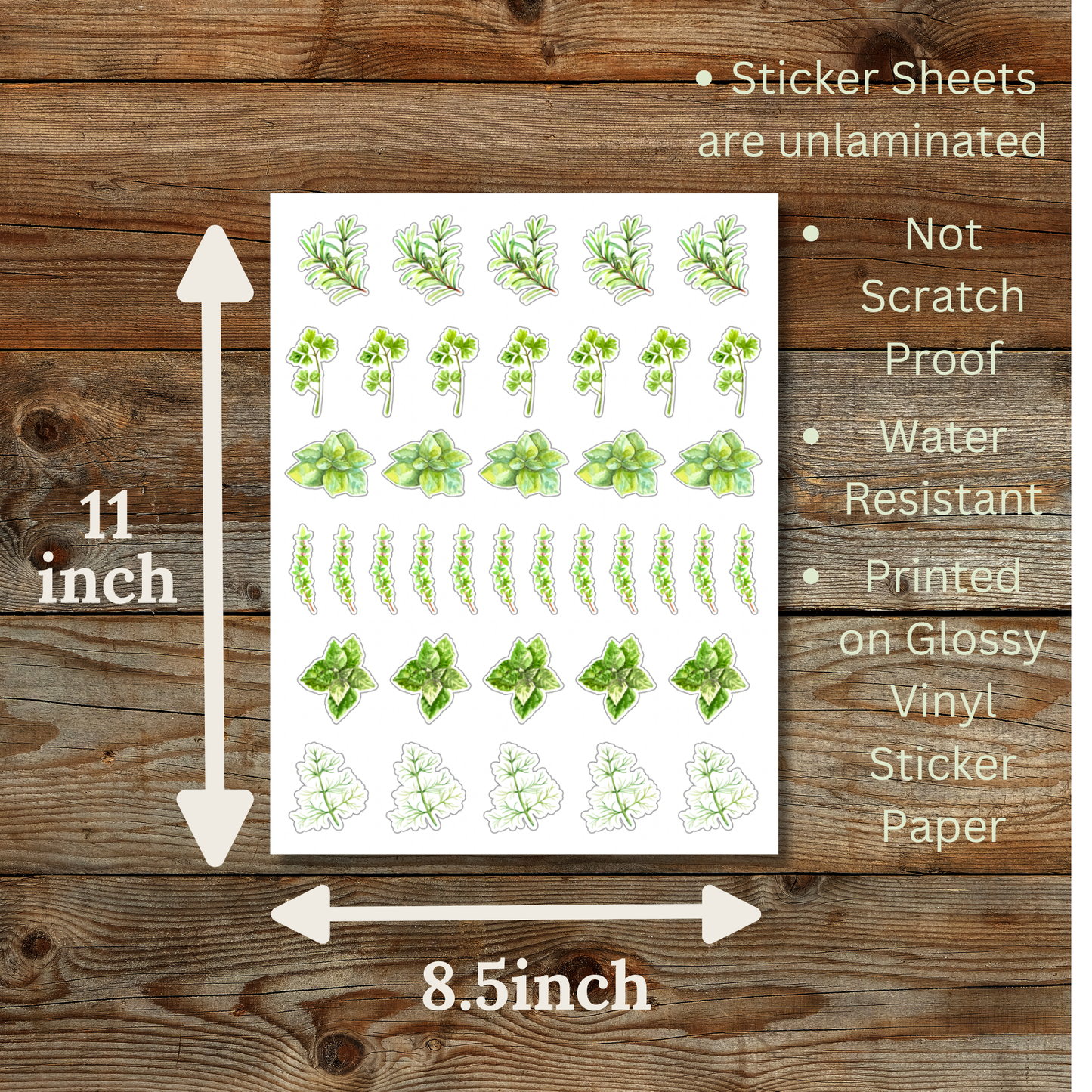 Herb Sticker Sheet