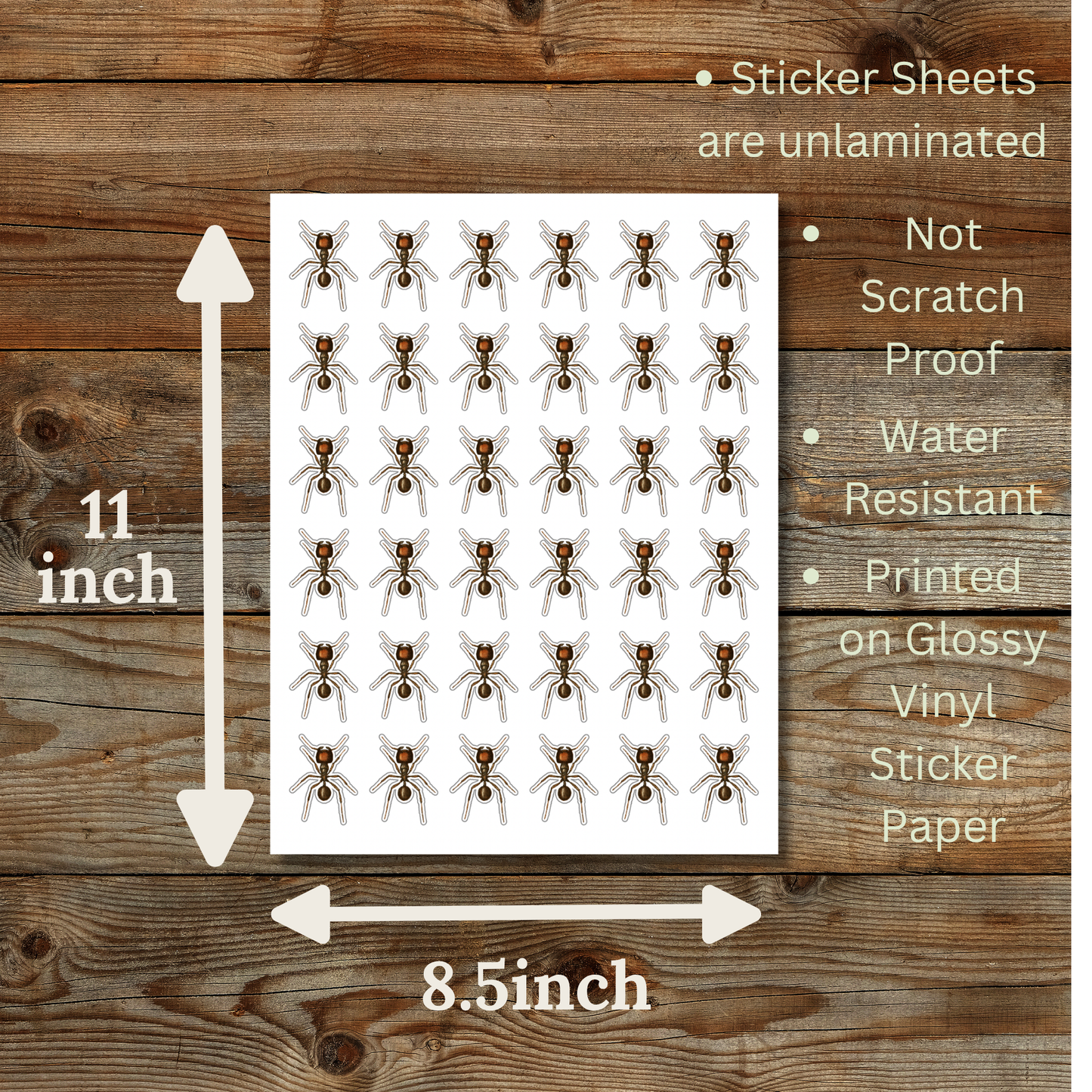 Ant Sticker Sheet