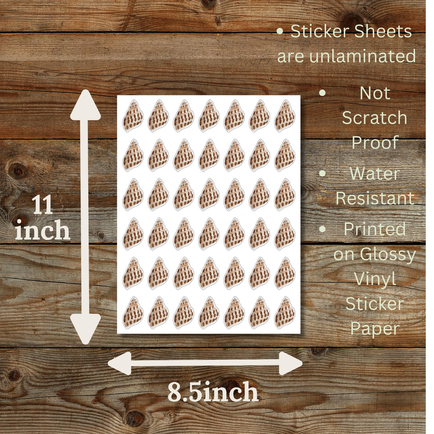 Babylon Shell Sticker Sheet