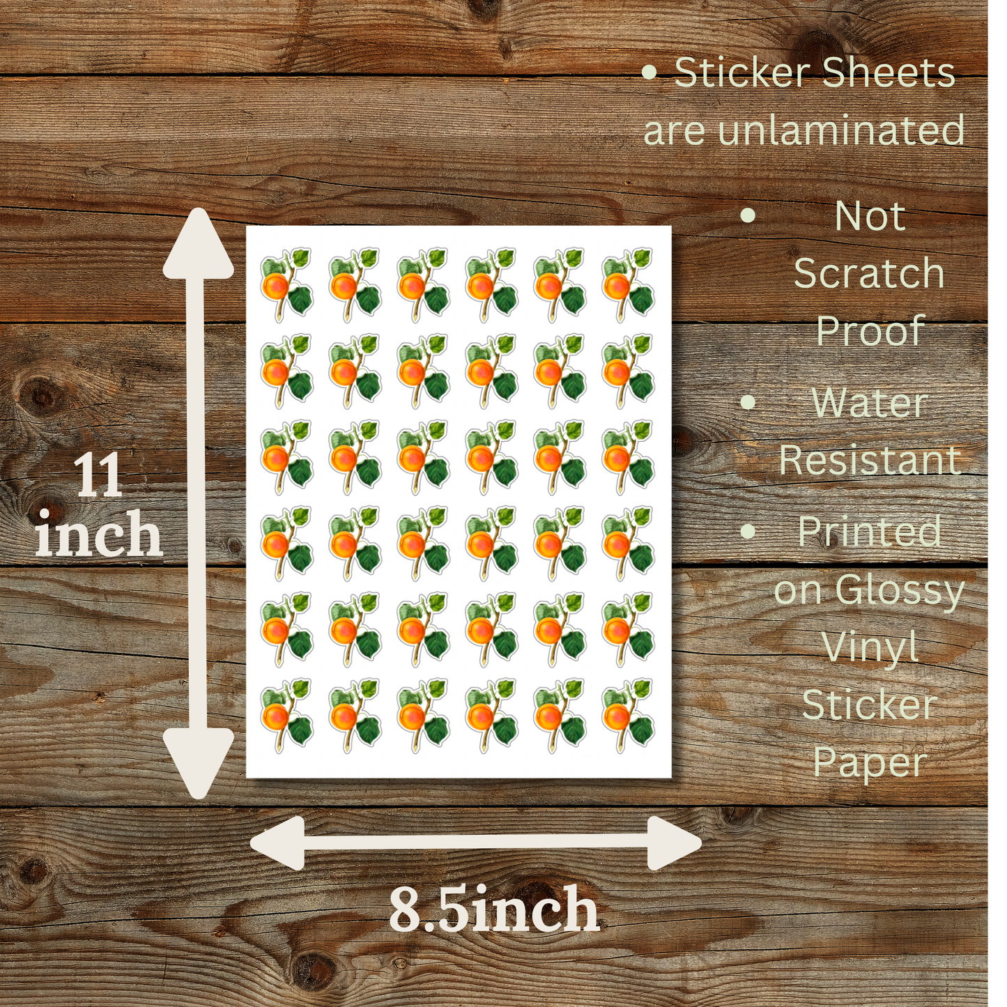 Apricot Sticker Sheet