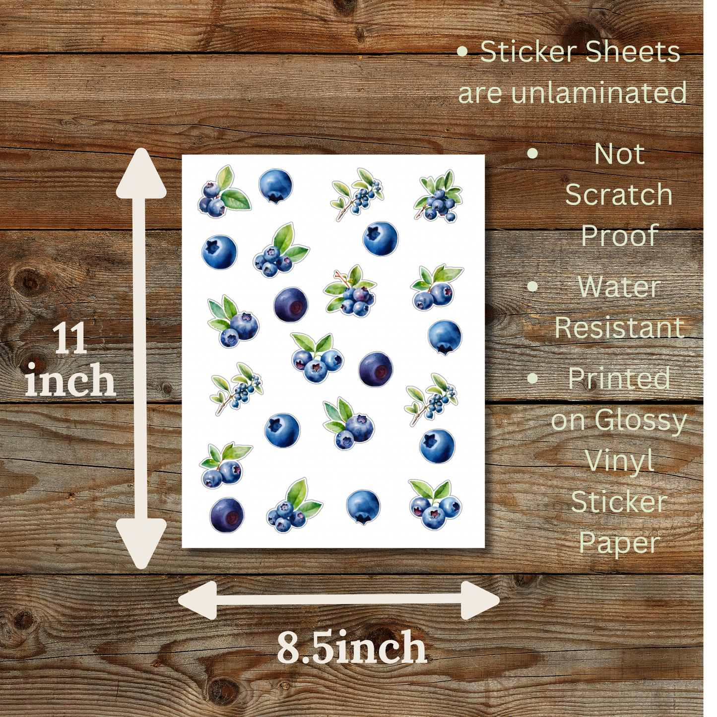Blueberry Sticker Sheet