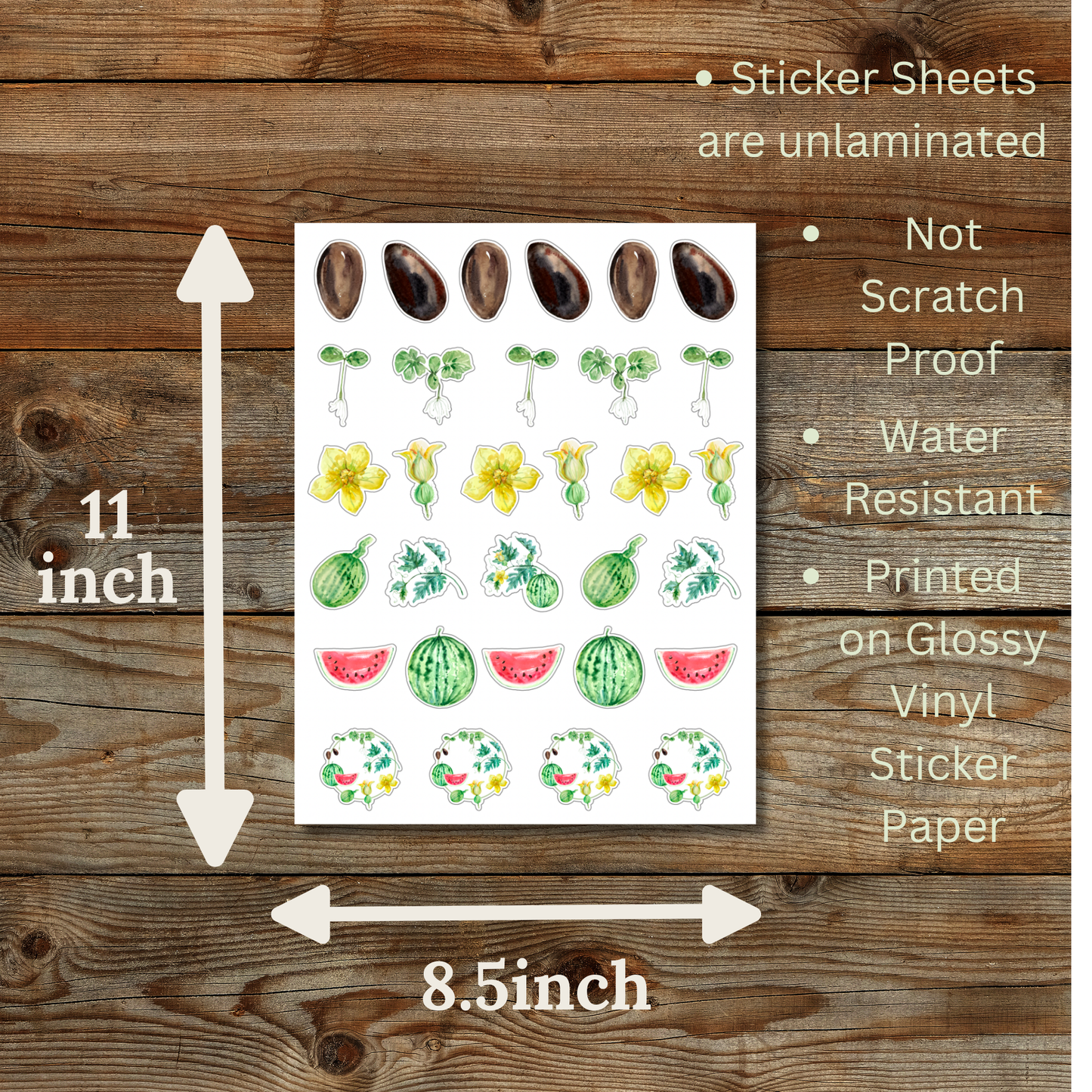 Watermelon Sticker Sheet