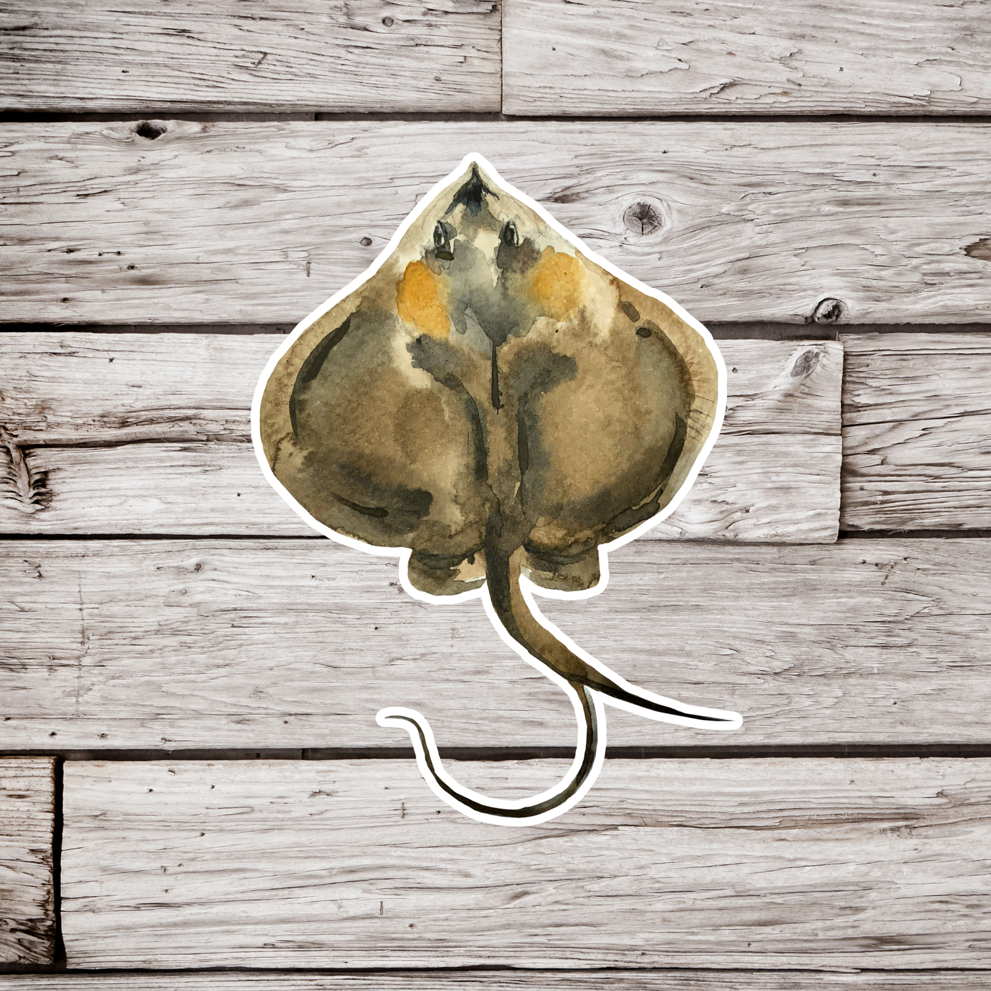 Electric Ray Sticker