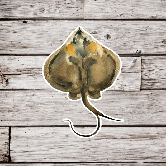 Electric Ray Sticker