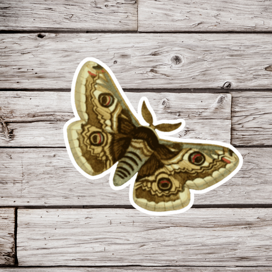 Emperor Moth Sticker
