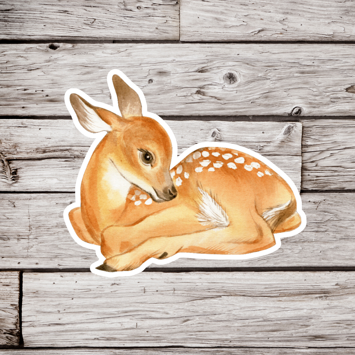Fawn Sticker