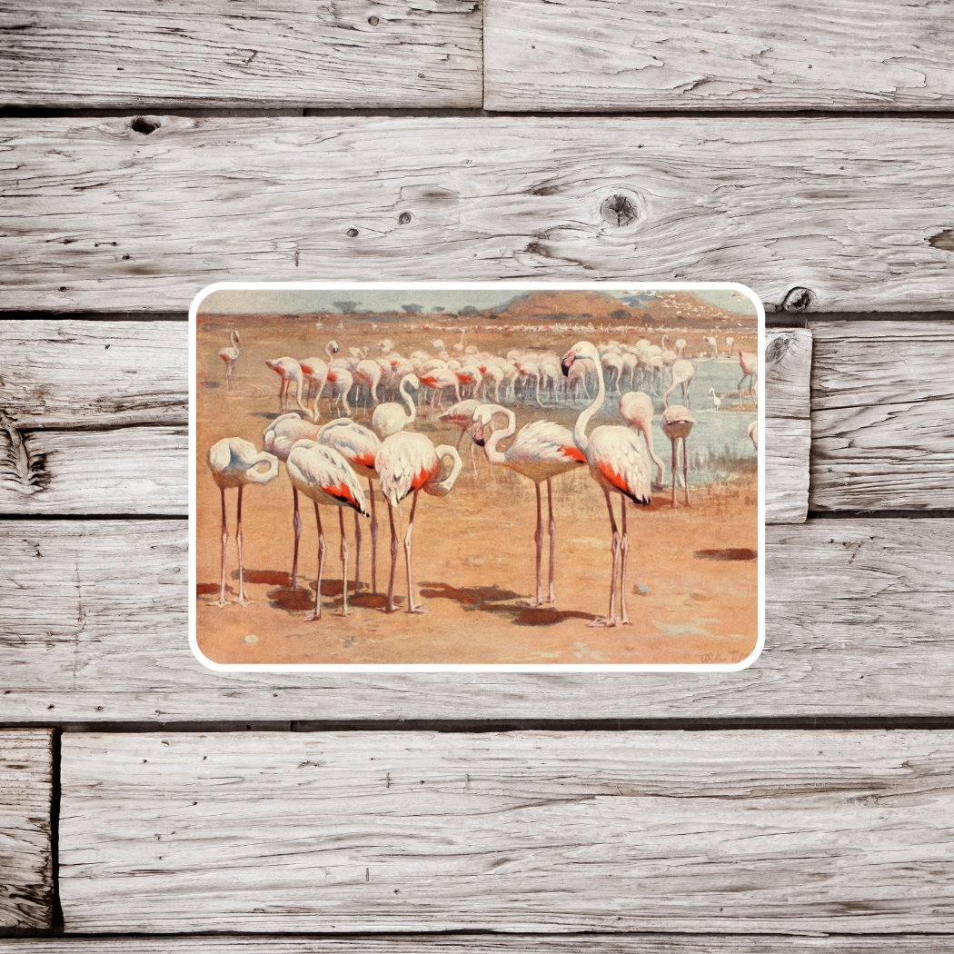 Flamingo Sticker