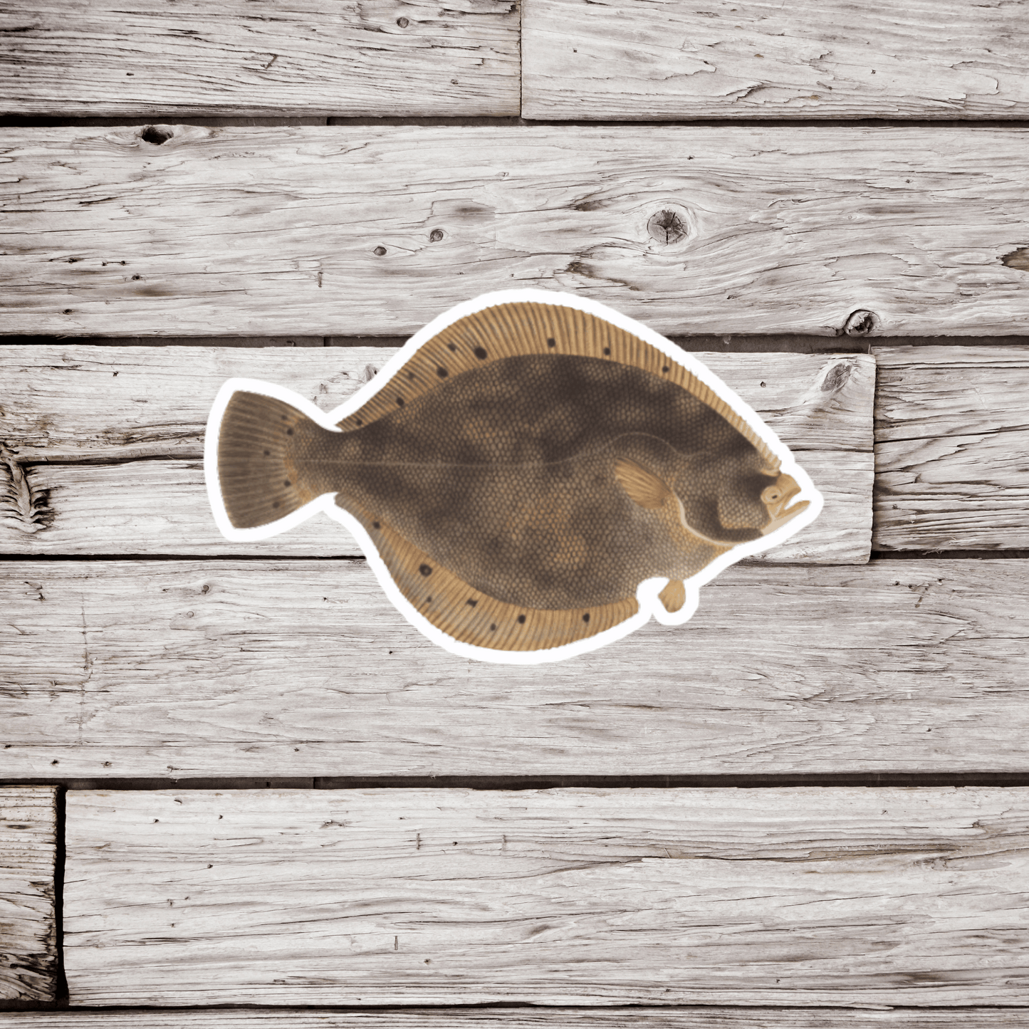 Flounder Sticker