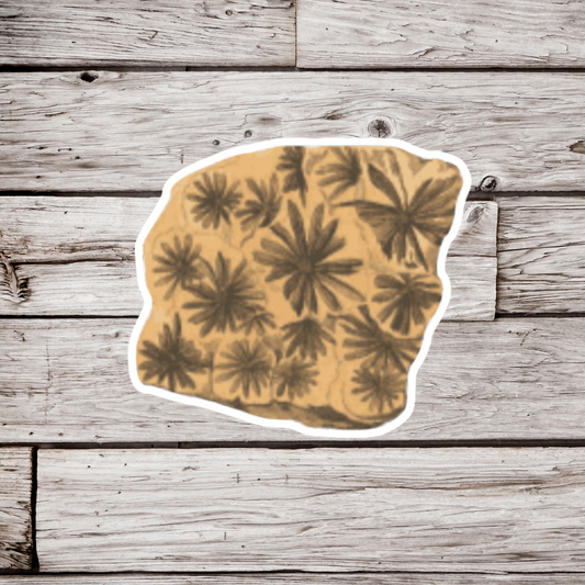 Fossil Sticker