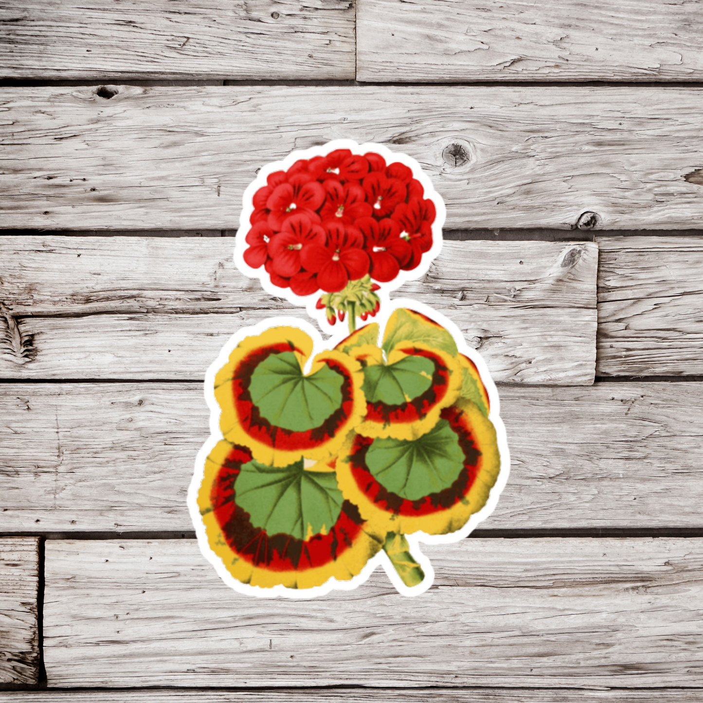 Geranium Flower Sticker