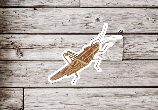 Grasshopper Sticker