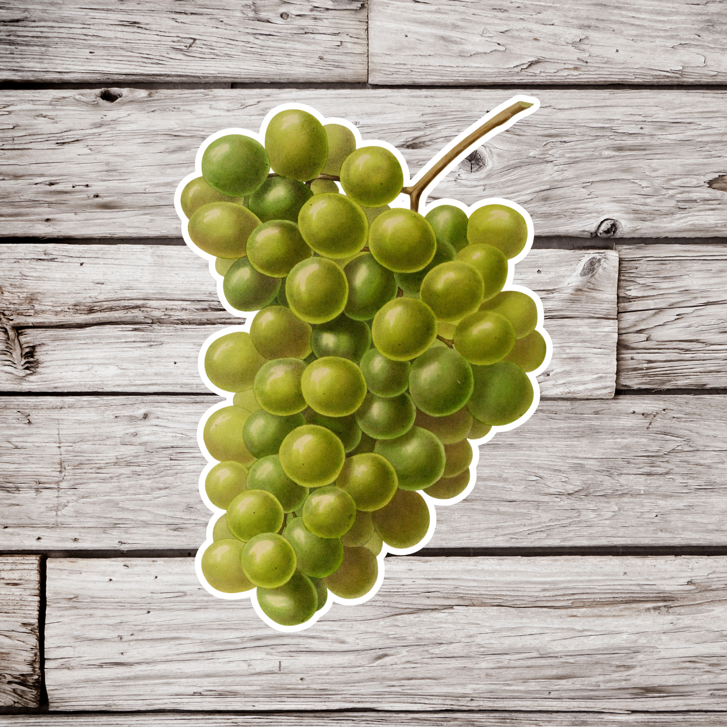 Green Grapes Sticker