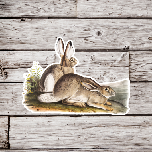 Hares Sticker