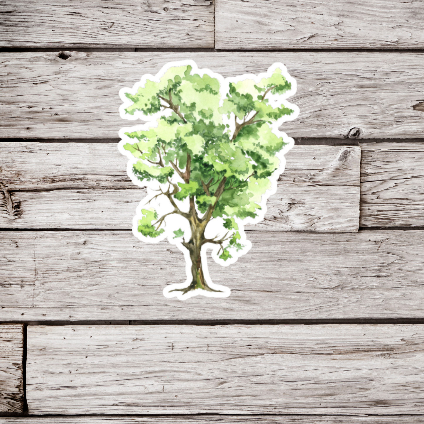 Hawthorn Tree Sticker