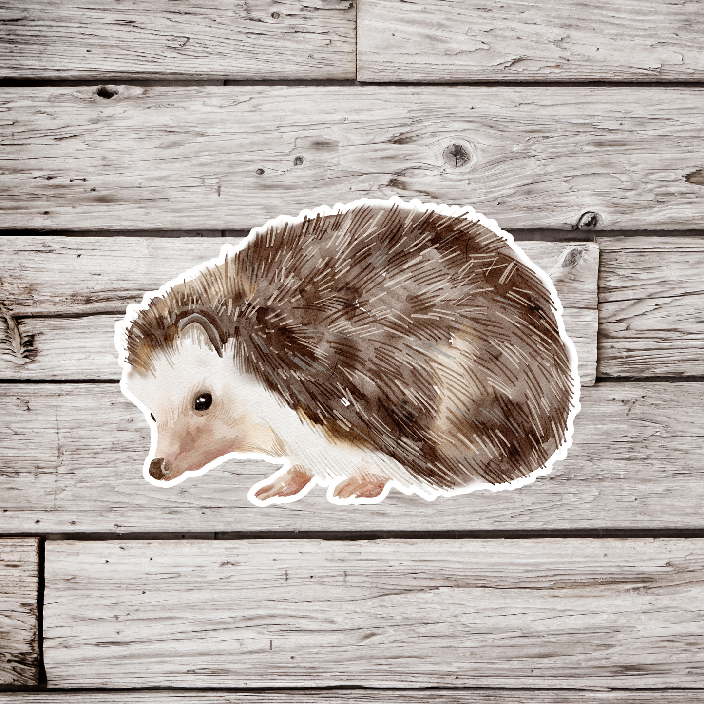 Hedgehog Sticker