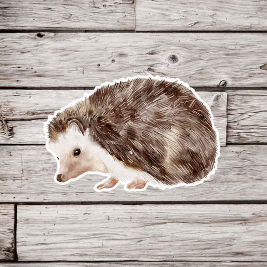 Hedgehog Sticker