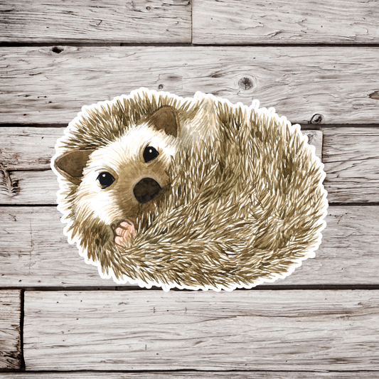 Hedgehog Sticker