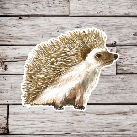 Hedgehog Sticker
