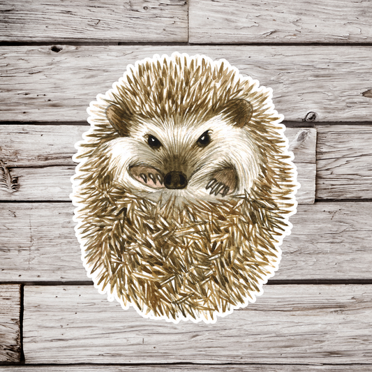 Hedgehog Sticker