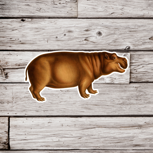 Hippopotamus Sticker