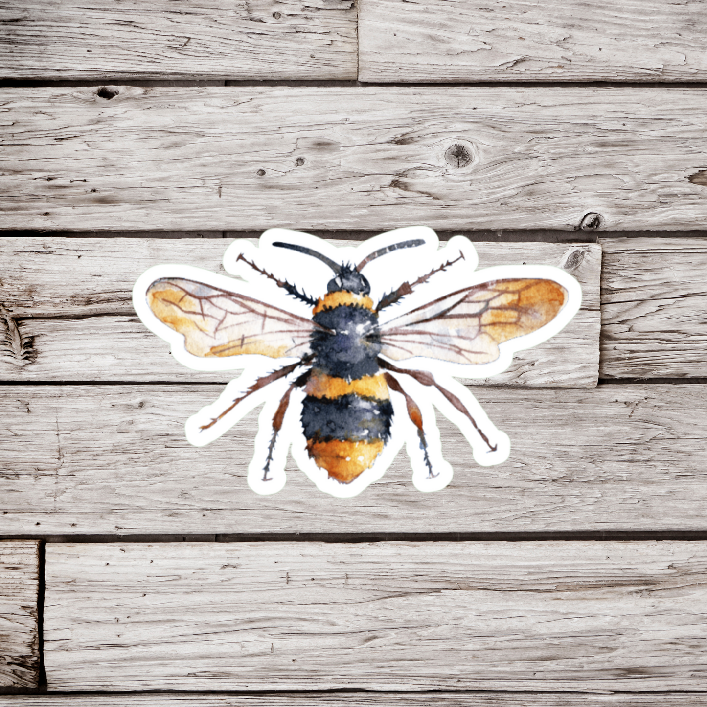 Honey Bee Sticker