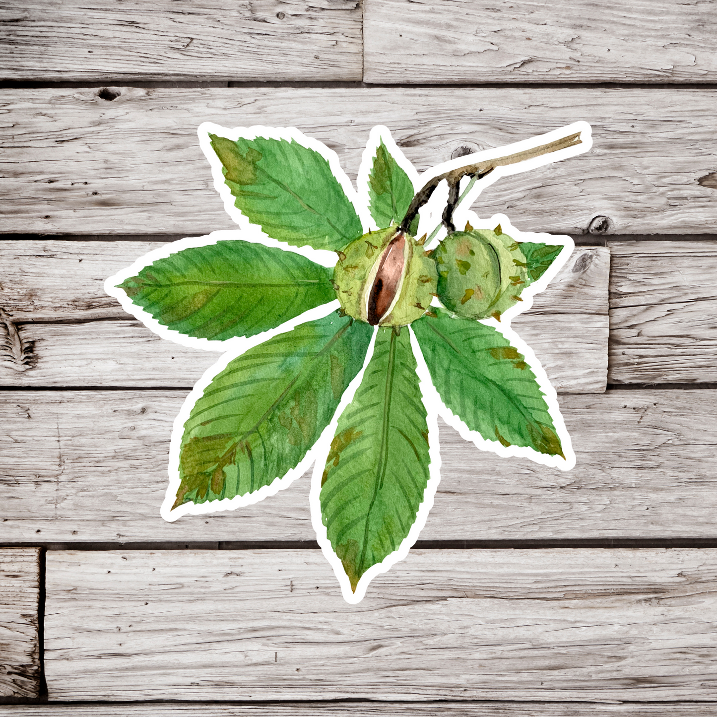 Horse Chestnut Leaf Sticker