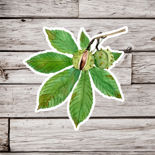 Horse Chestnut Leaf Sticker