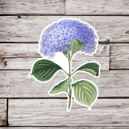 Hydrangea Sticker