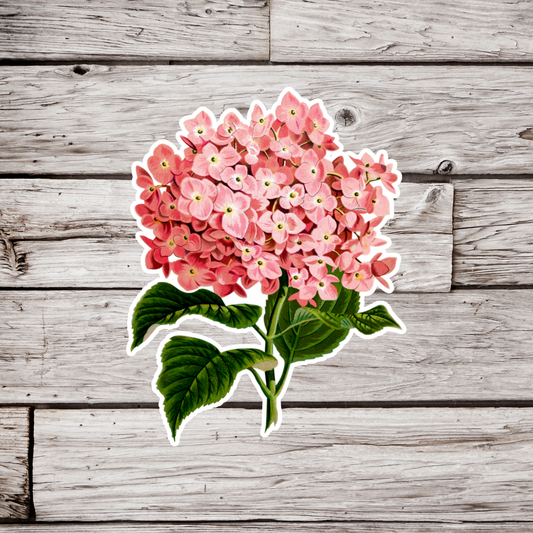 Hydrangea Sticker