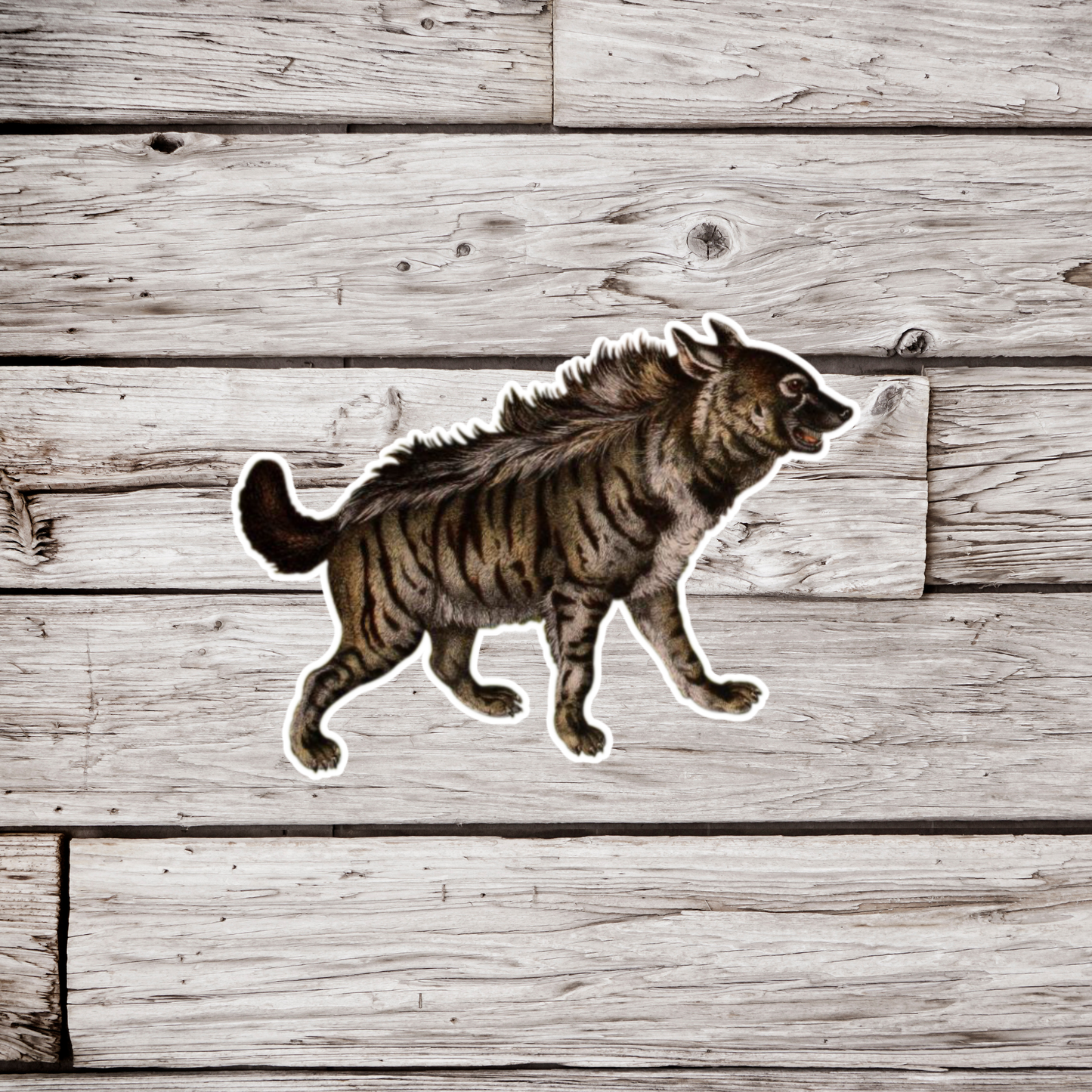 Hyena Sticker