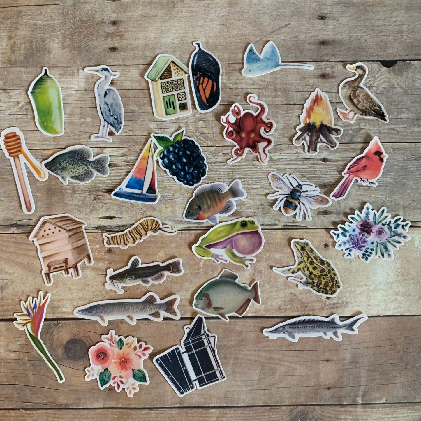Mystery Mini Sticker Pack