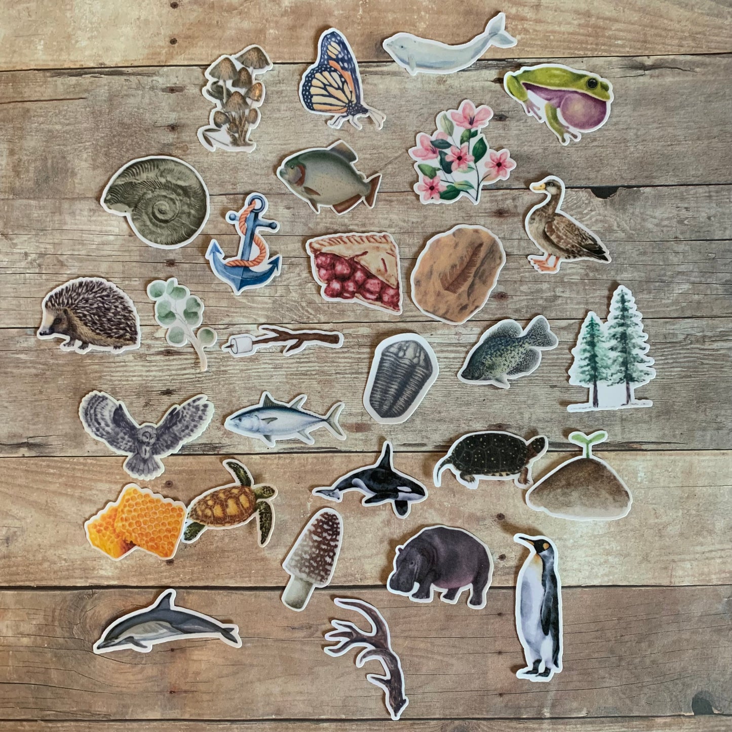 Mystery Mini Sticker Pack