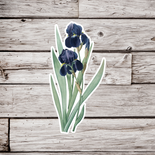 Iris Flower Sticker